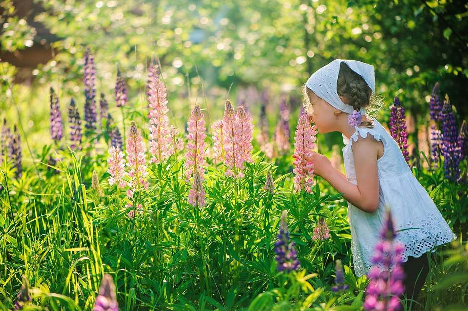 Aromaterápia során alkalmazott illatok hatása